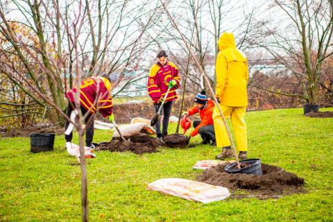 Students planting trees