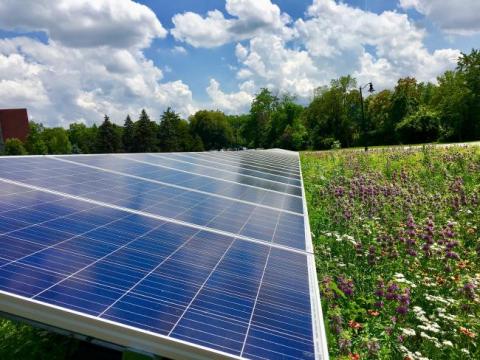 finalist photo of solar panels and a field