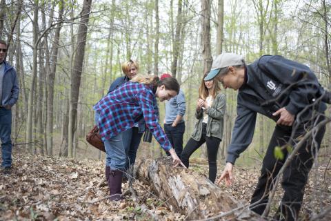 Nature Conservancy