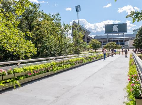 MSU Green Wall