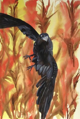 A raven flees fire