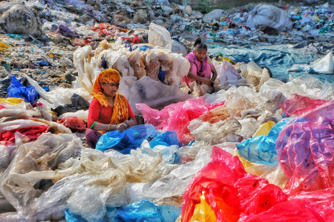 Plastic Pollution Image