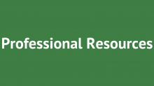 Professional Development